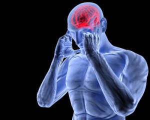 Migraines and Cluster Headaches are the same.  They occur when brain blood flow is disrupted from a stress trigger.